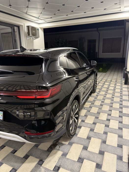 Byd Chempion 2023 краскаси тоза