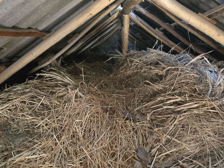 Somon joxari beda aralash sotiladi