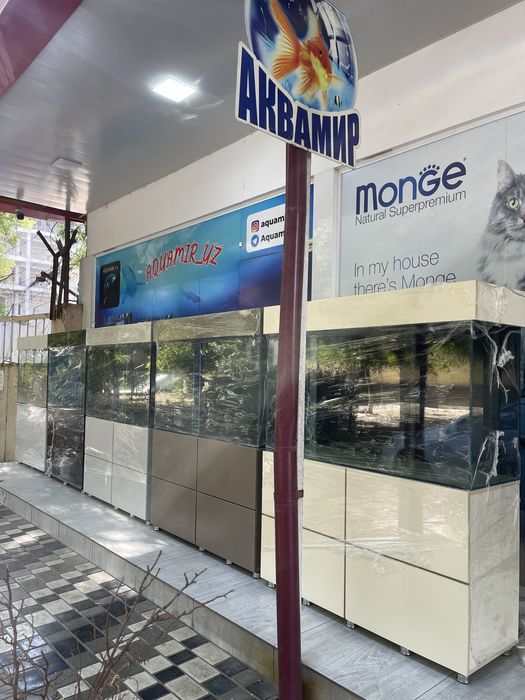 Akvarium yengi va sifatli alo darajada