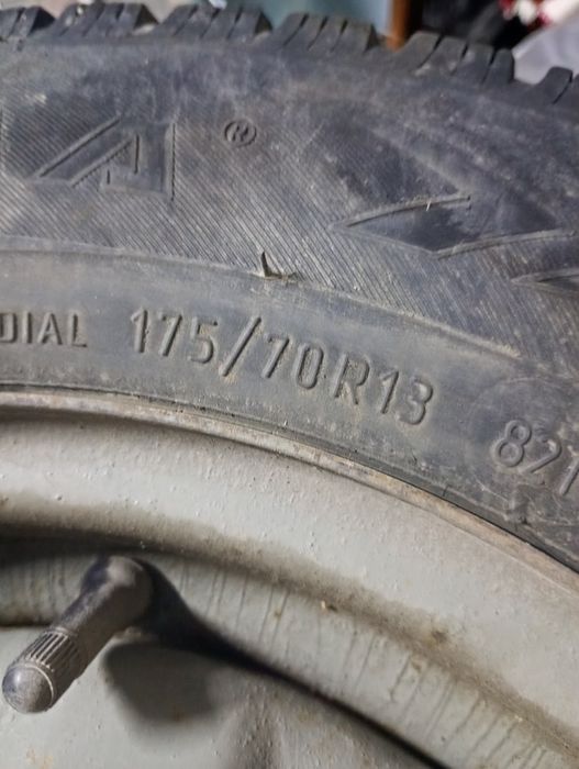 Щина зимныи шипованыи