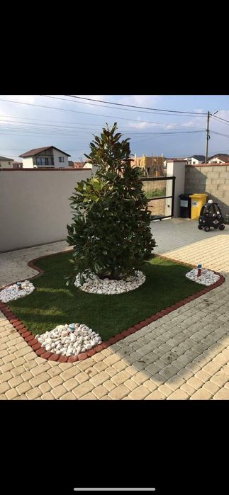 Plante Naturale din Pepeniera