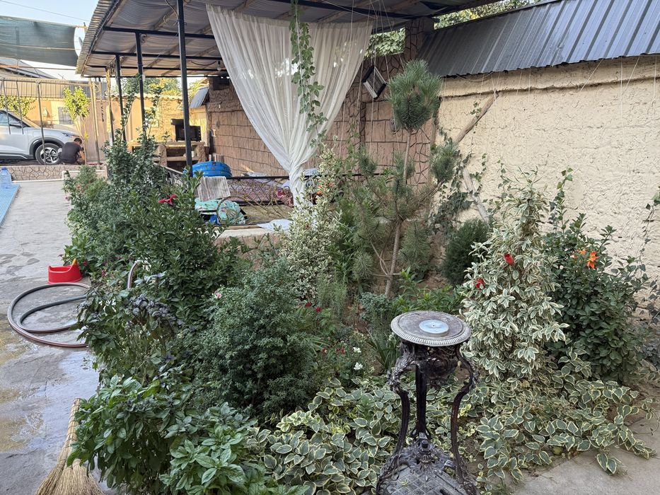 Toshmoryaga yaqin Dacha sotiladi