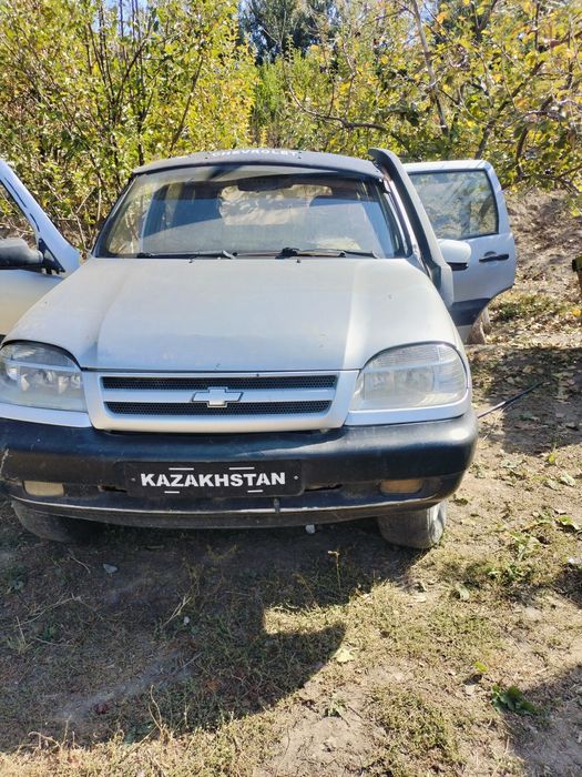 Сырошына пырадия утса