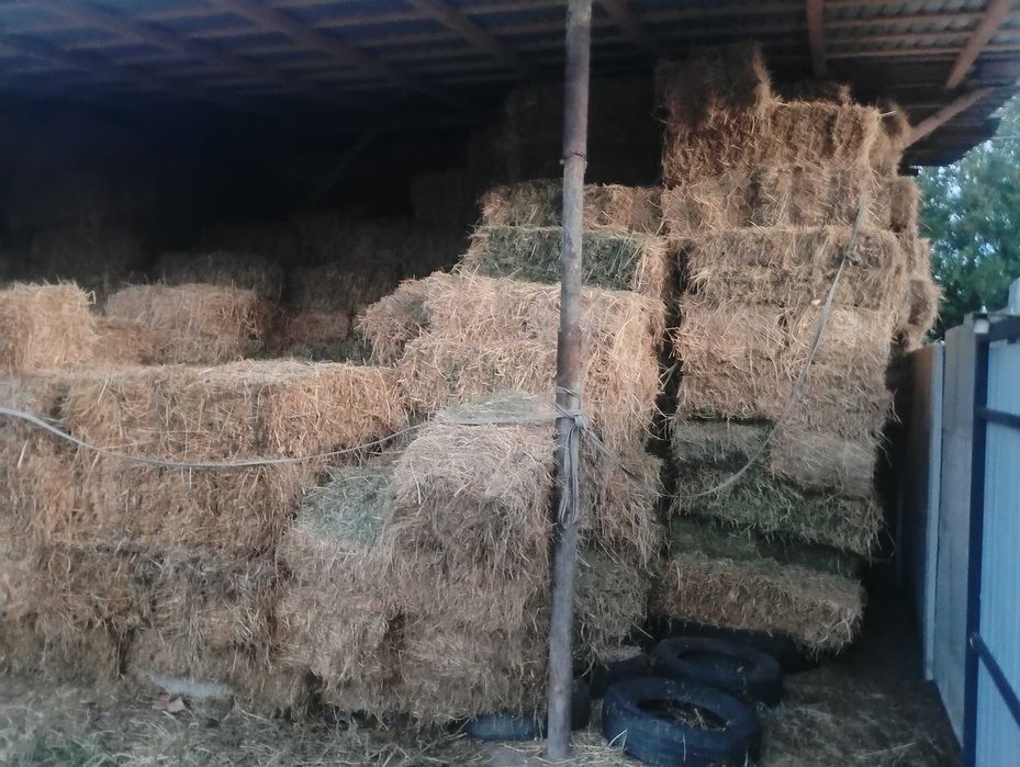 Vând baloți de fan