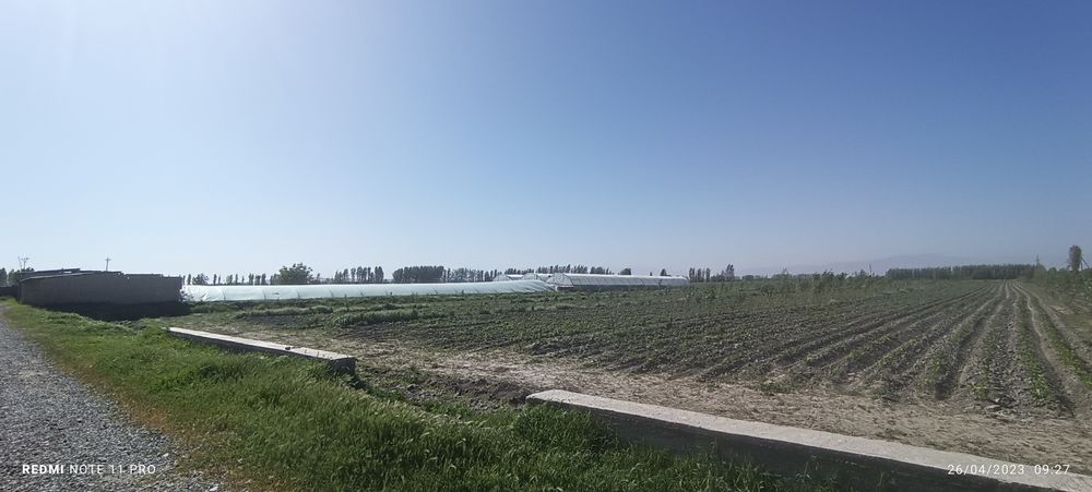 Issiqxona sotiladi ijaraga birladi