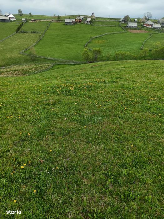Teren 6000mp Măguri-Răcătău, pârâu, utilități. Schimb Florești