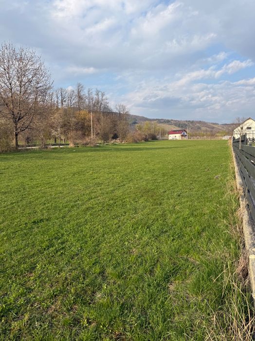 3200 mp teren intravilan Bistrița str. Profesorilor și 8500 mp Vaduri, Alexandru cel Bun