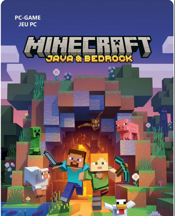 Майнкарфт тренер/тиммейт