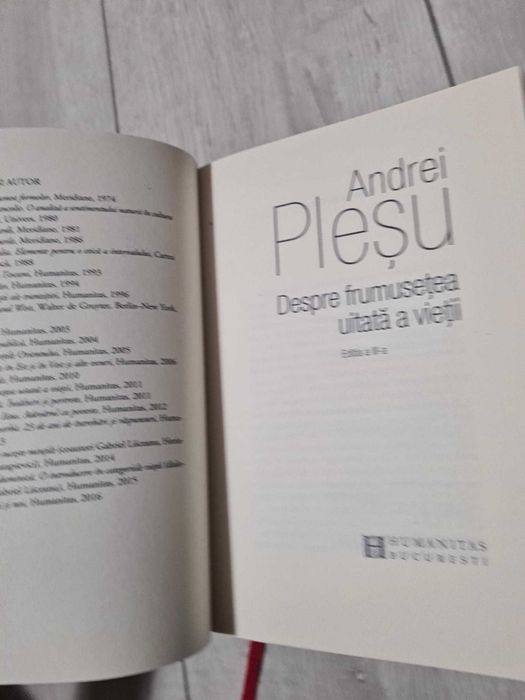Despre frumusetea uitata a vietii - Andrei Plesu - Carte