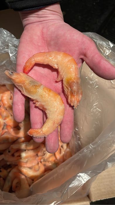 Креветки королевские