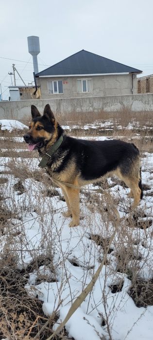 Кабель ВЕО готов к свиданию