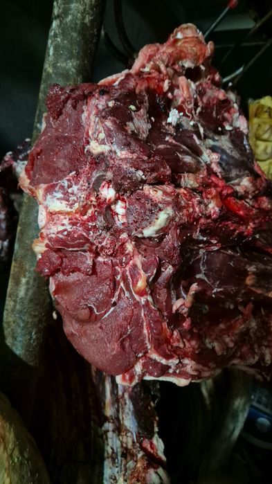 Мясо ет оптом социалный  баға