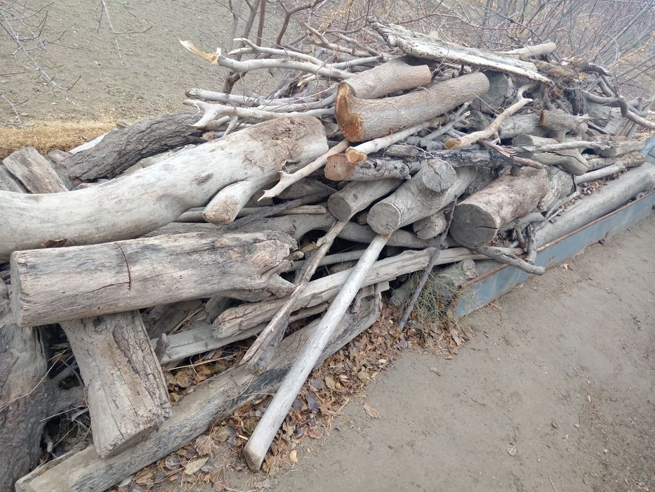 Tarashalar sotiladi aralash orik tut daraxti bor qolgan malumot telda