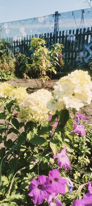 Продам дачу в СО весна.