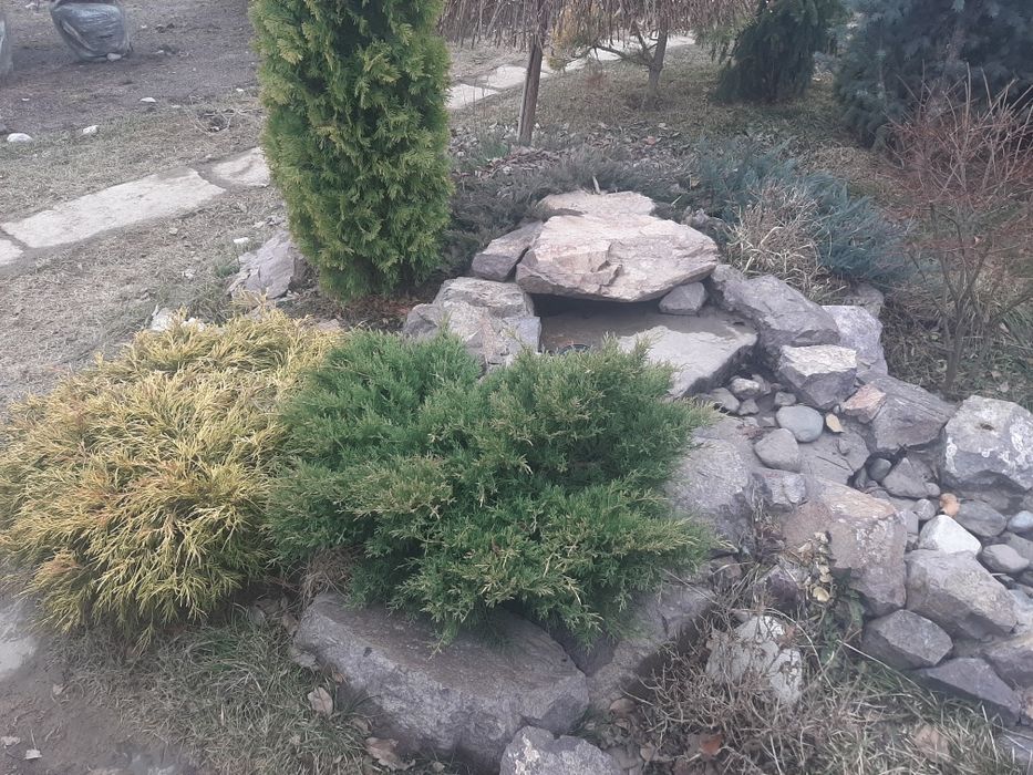 Ландшафтный дизайн, газон