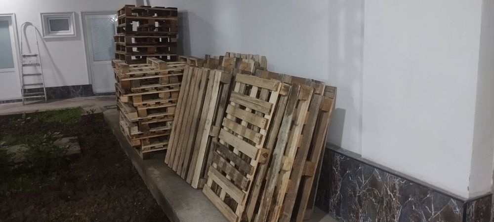 Paddon Sotiladi Sergeli Rayon