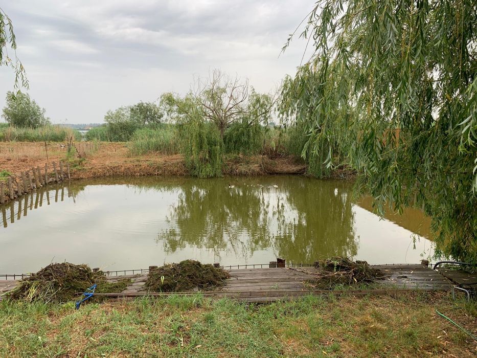 Casa cu teren murighiol (tulcea)