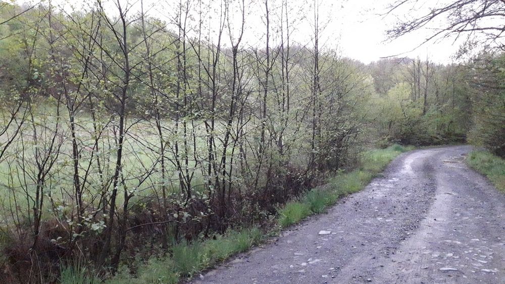 Teren vacanta.Teren la tara.casa vacanta.padure.deal PetrisCorbesti AR