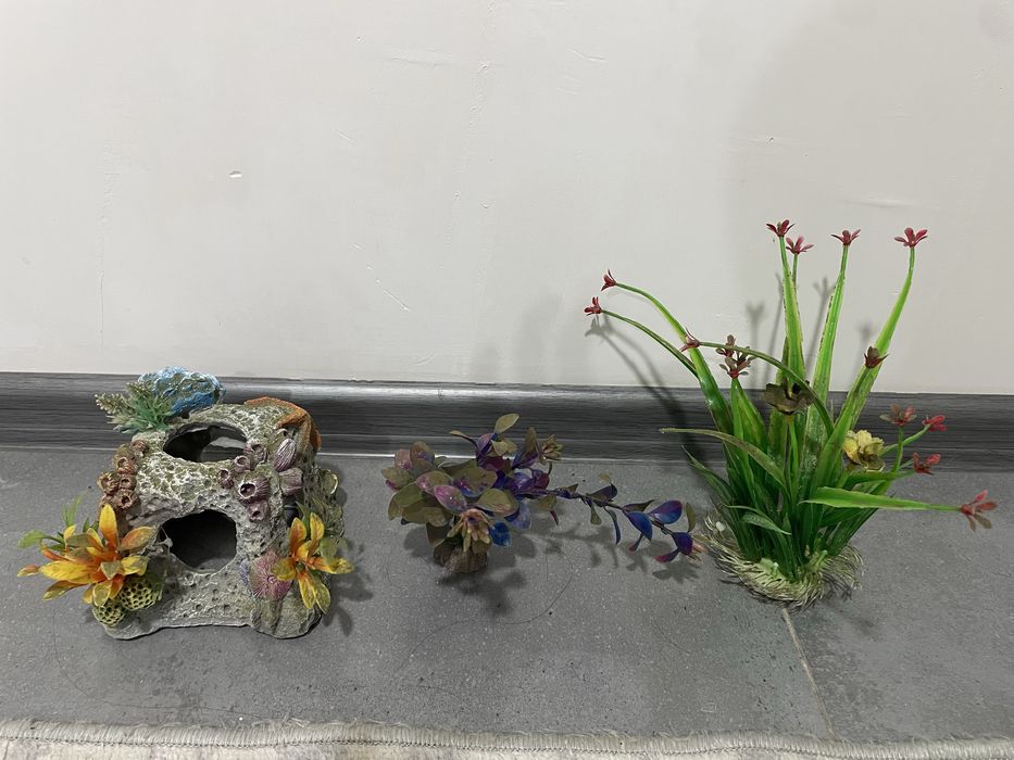 аквариум состоение новая