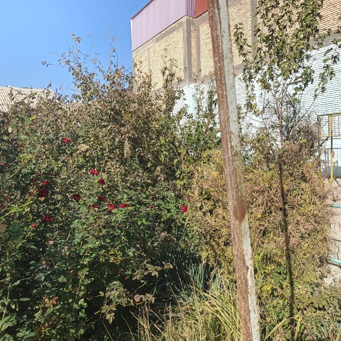 Уй сотилади Шахар марказида