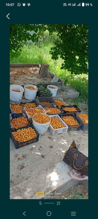 Дача с большим садом