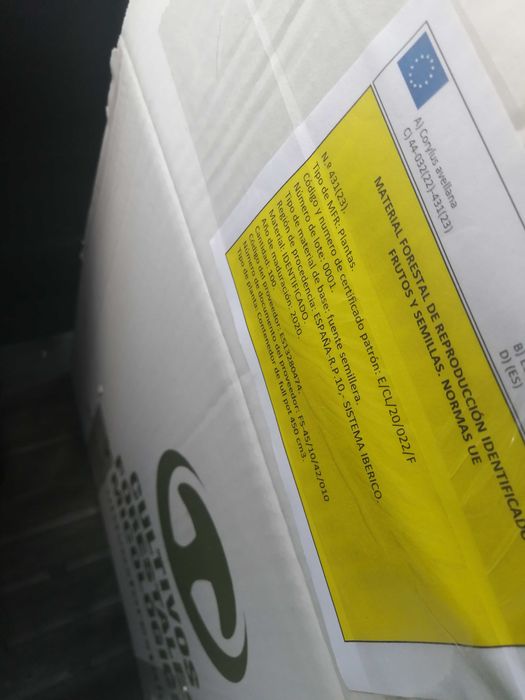 Микоризирани фиданки