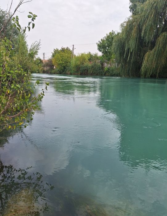 Продаётся евродом вдоль  реки БОЗСУ