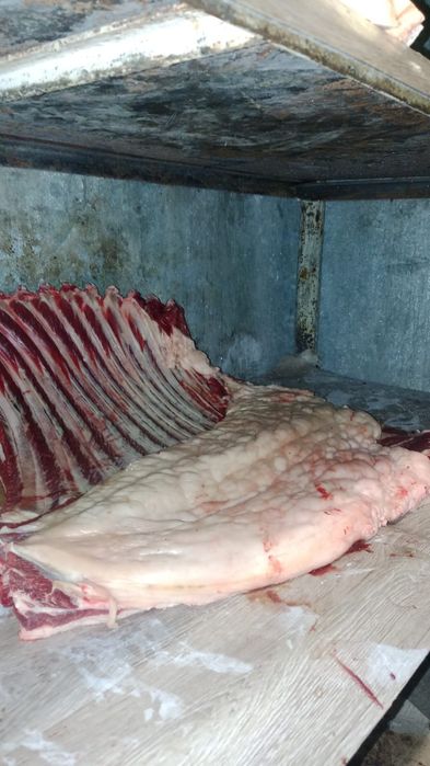 Продам мясо от 150000тг