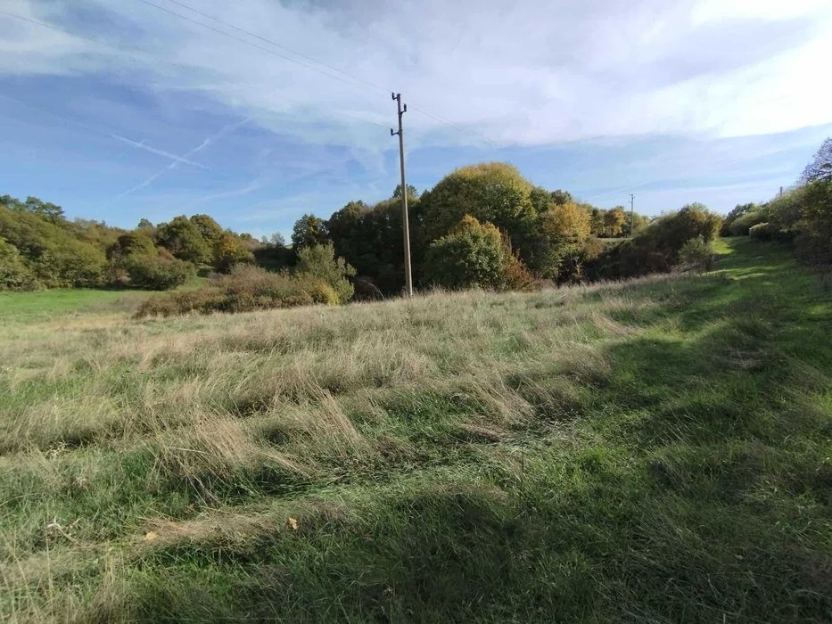 Продава се Земеделски имот в с. Бучин проход, Област София-област -  кв.м за 2040 €/дка - Снимка #5