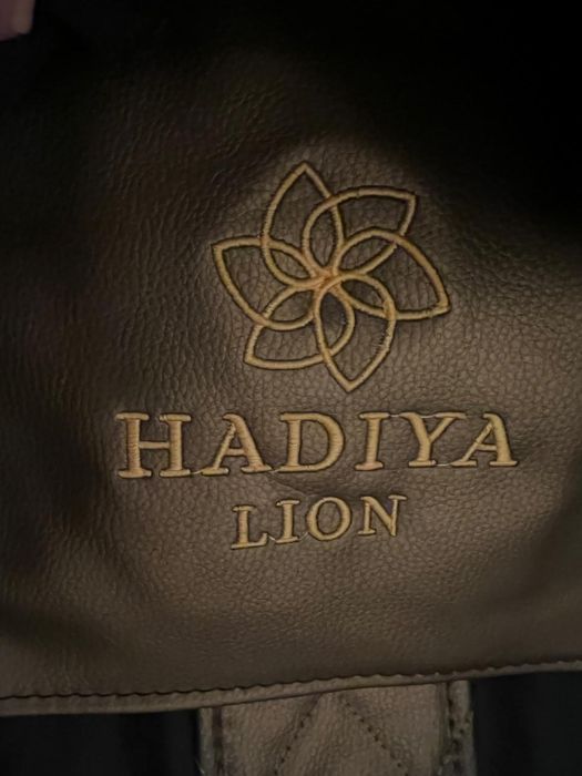 Массажное кресло Hadiya Lion