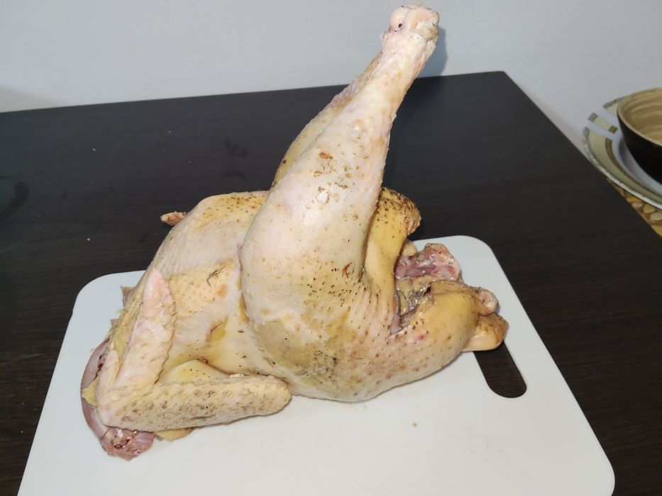 Rațe mute și rățoi  2025