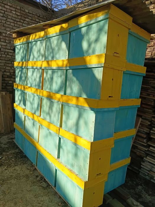 асалари.яшиклари