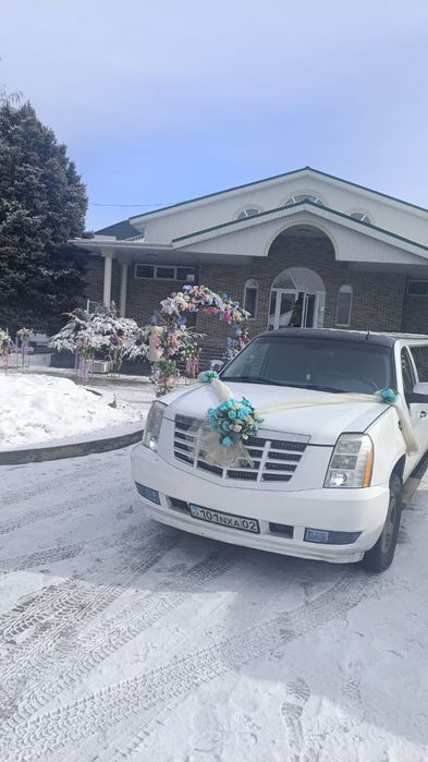 Девичник в лимузине день рождения свадьба