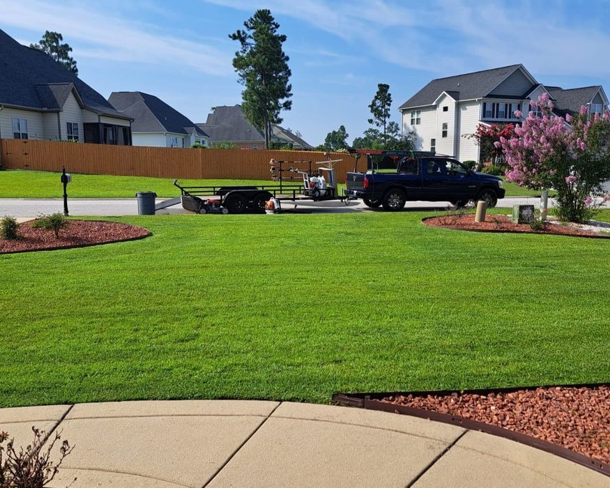 Amenajare curte gradini