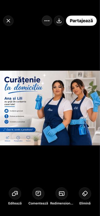 Curatenie la domniciliu
