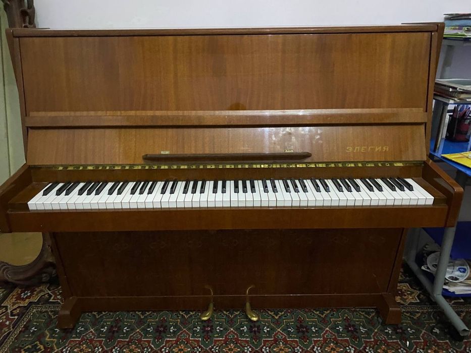 piyanina элегия