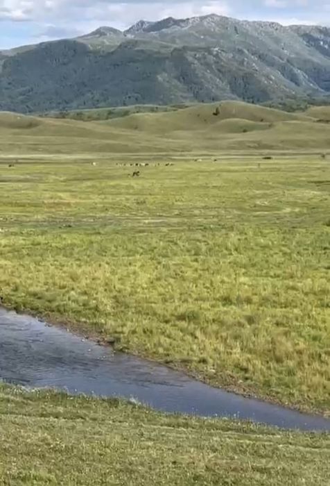 Продается земля 500 га