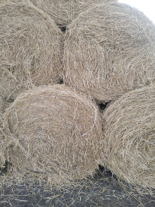 Продам солома с доставкой