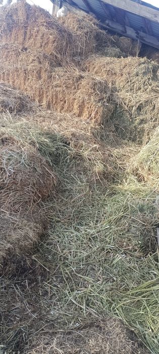 Продам сено в тюках