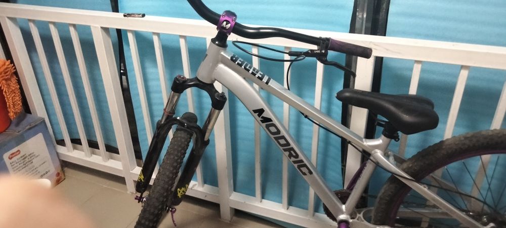 Cruzer modrich mtb