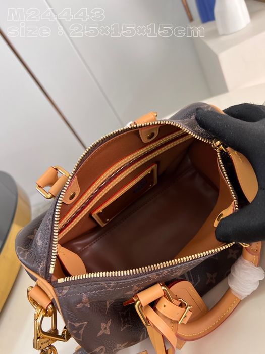 Geanta Louis Vuitton Speedy 25cm, tip Premium