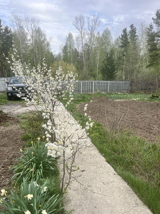 Дача для семьи или под бизнес.