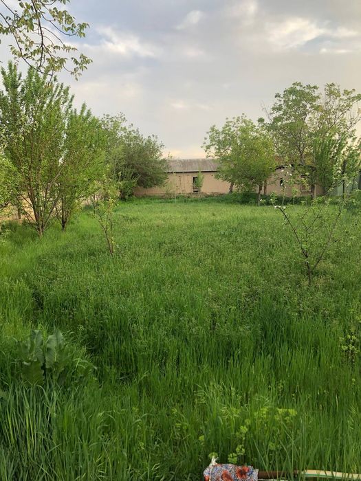 Srochna Hovli sotiladi fayzli honadon