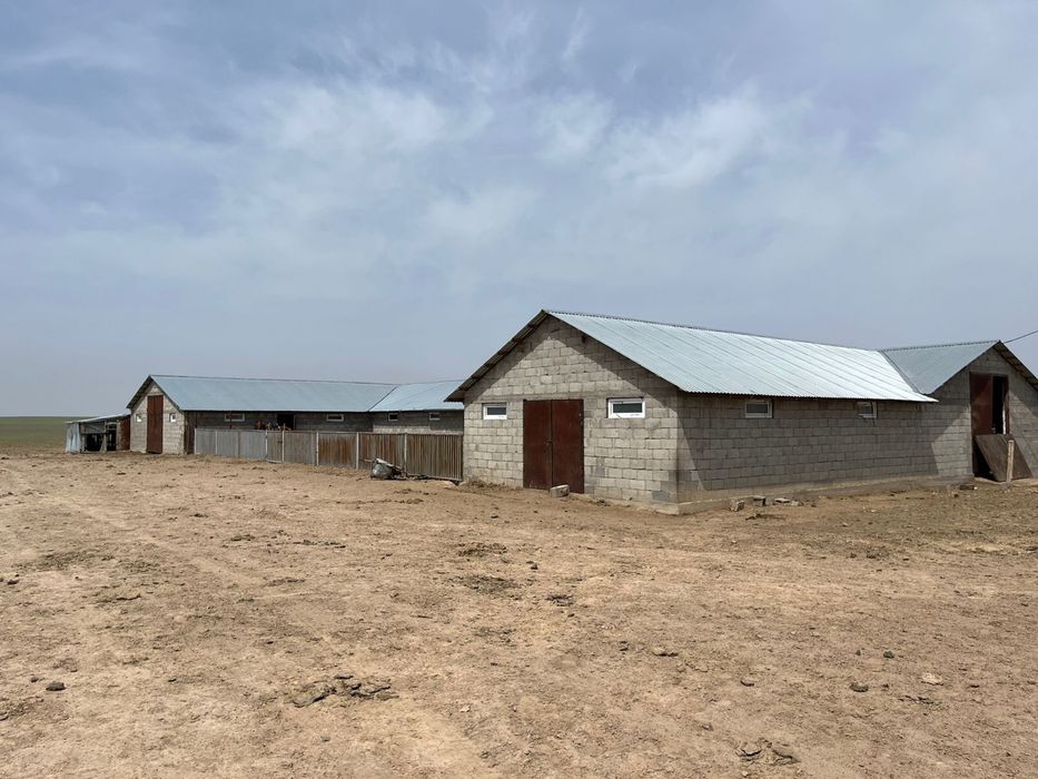 Продаестся КХ 1080 га в Жамбылском районе