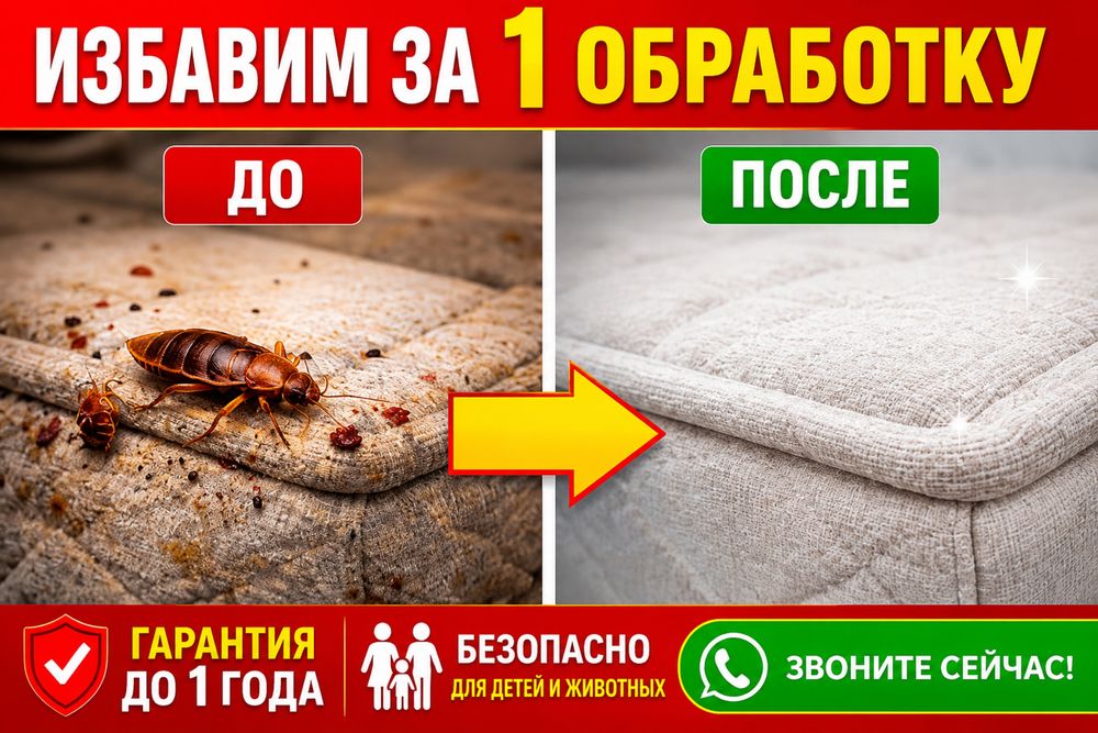 СЭС Дезинфекция звоните и уточните цену