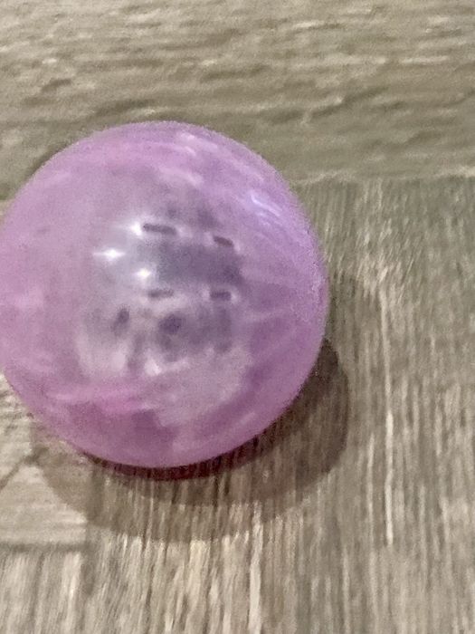 Продам хомяков - активные, ручные