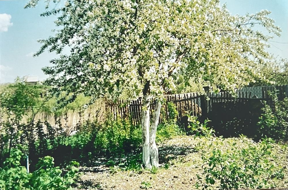 Сдается   дача