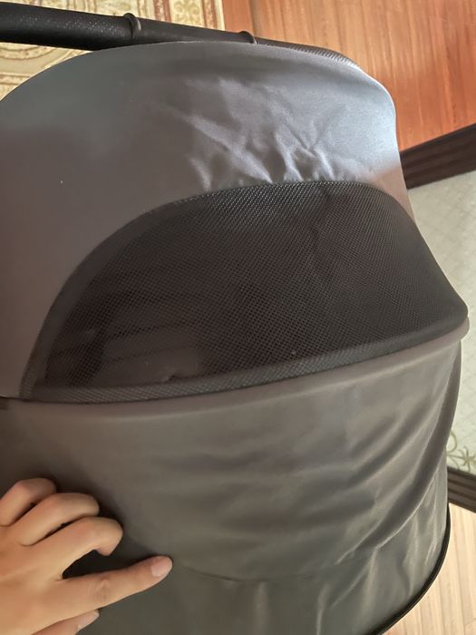 Коляска Rant falcon 2 в 1