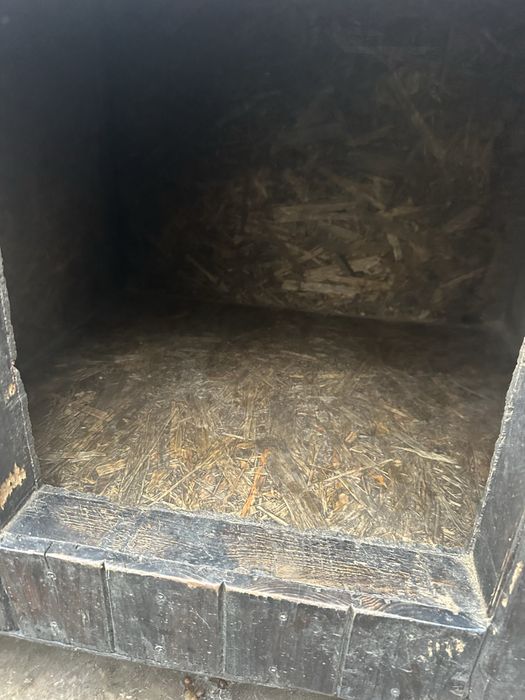 Cotet / cusca caine talie medie izolat