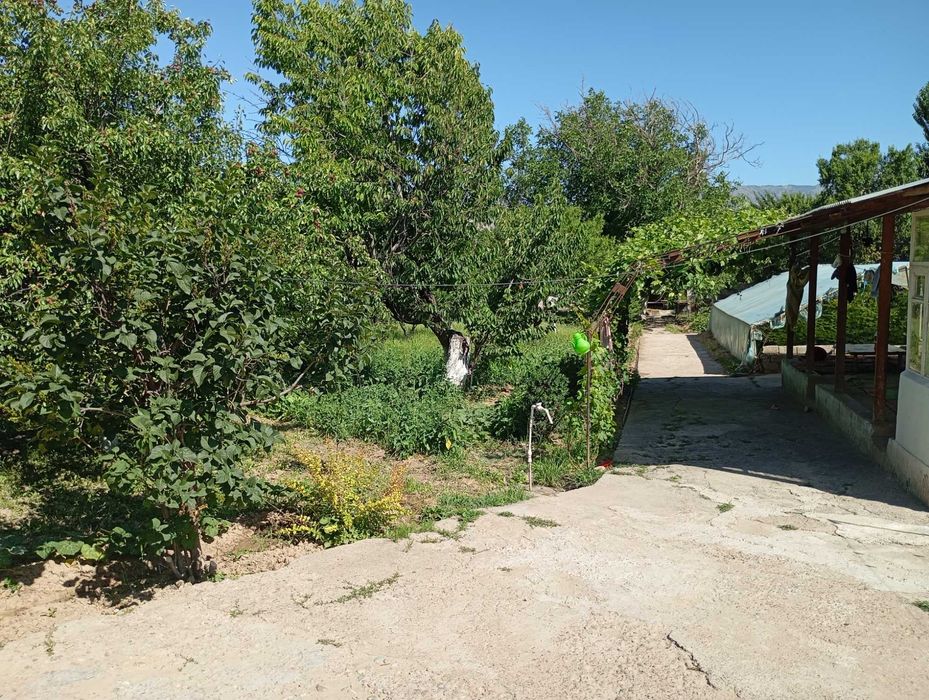 Hovli uchaska Toshkent vil. Bustonliq tum.Dumaloq qishlogi